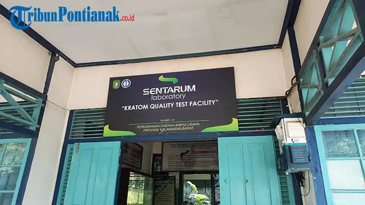 Tingkatkan Daya Tawar Kratom, Pemprov Kalbar Hadirkan Sentarum Laboratory