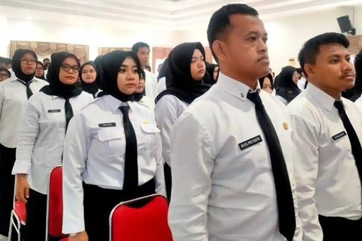 Update Terbaru Pengangkatan CPNS dan PPPK 2024, DPR RI Beri Sinyal Positif, Batal Ditunda?