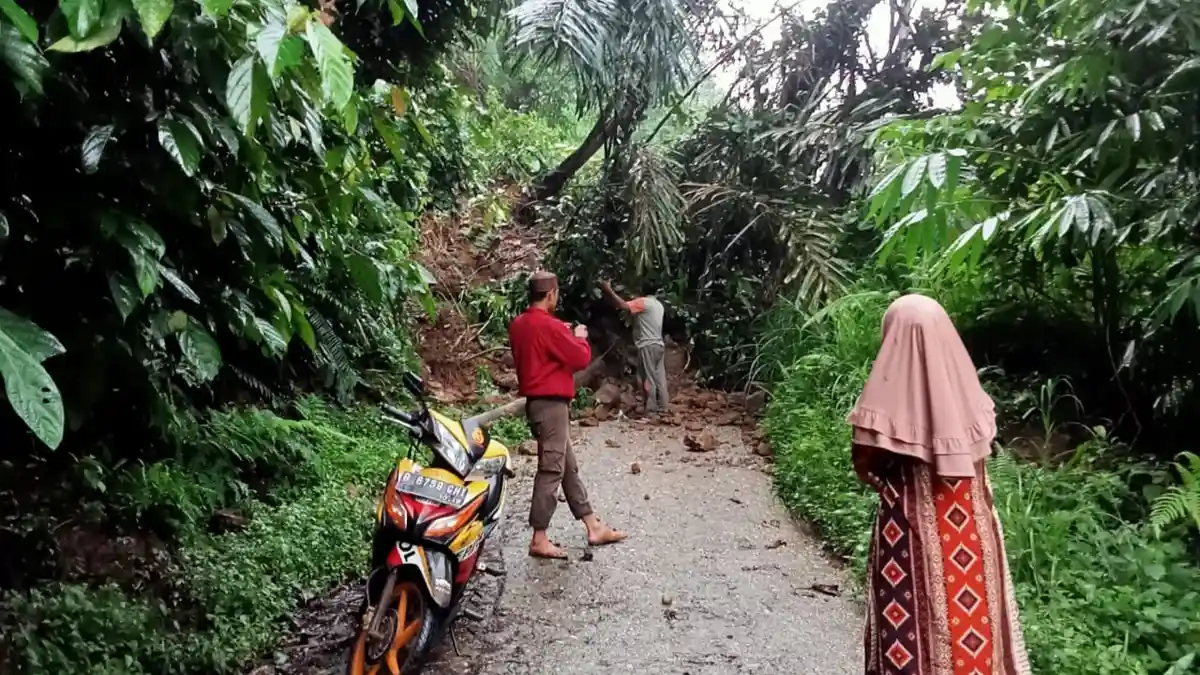 Longsor di Merangin, Warga Muara Pangi Terisolir Akibat Jalan Tertutup Longsor