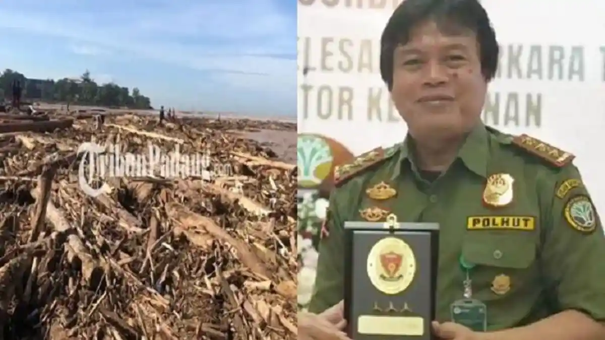 Profil Dwi Januanto Dirjen Kemenhut Disorot terkait Kayu Gelondongan di ...