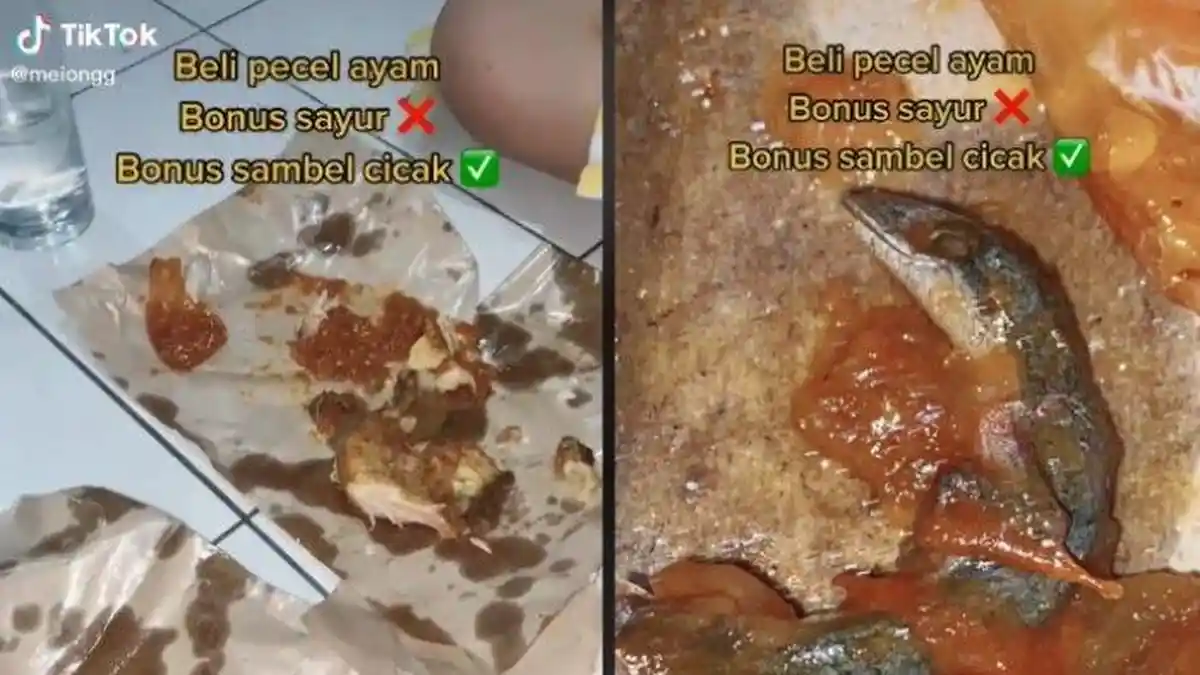 Heboh Kisah Gadis Menemukan Cicak dalam Sambal saat Makan Pecel Ayam, Kaget dan Muntah