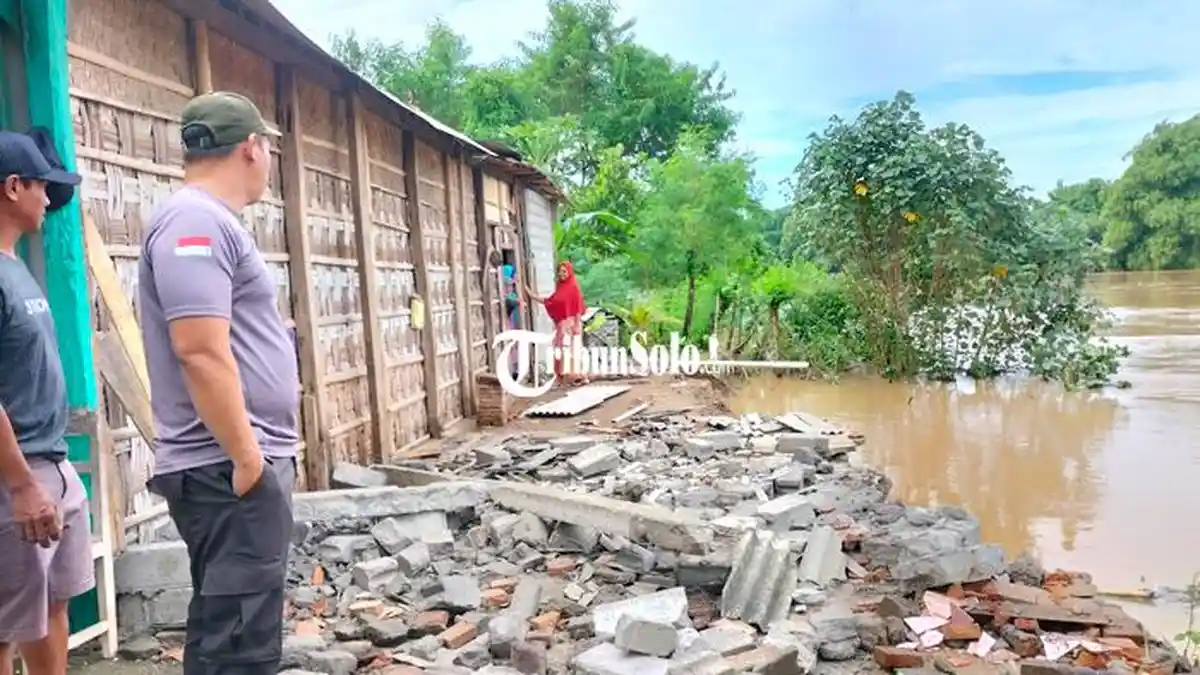 Nestapa Warga Desa Tenggak Sragen, Rumah Tinggal Puing, Disapu Arus Sungai Bengawan Solo
