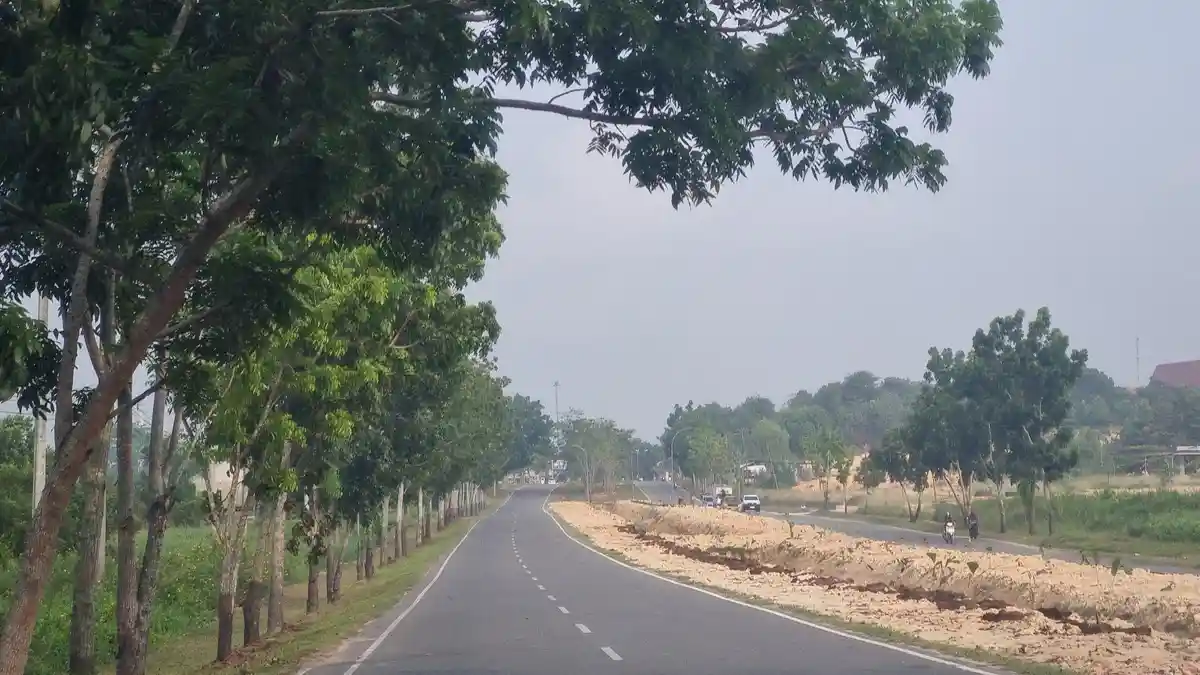 Kualitas Udara di Pelalawan Masih Tidak Sehat, Terpantau 3 Hotspot dan Kabut Asap Berkurang - Tribunpekanbaru.com
