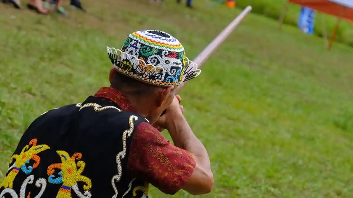 Sumpit Dilaburi Kunyung, Senjata Tradisional Suku Dayak yang Mematikan Saat Perang