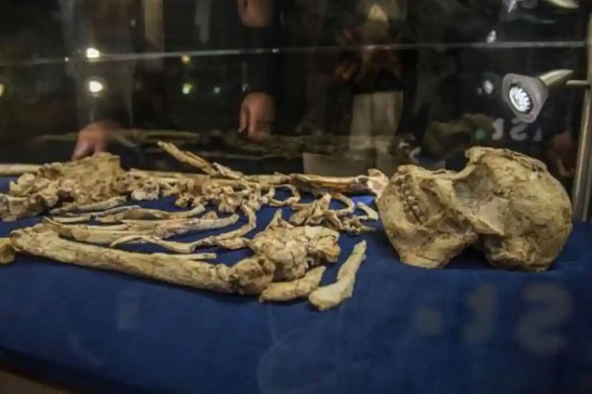 Ditemukan Tengkorak Manusia di Salambabaris Tapin, Sebagian Tulang Sudah Berlumut