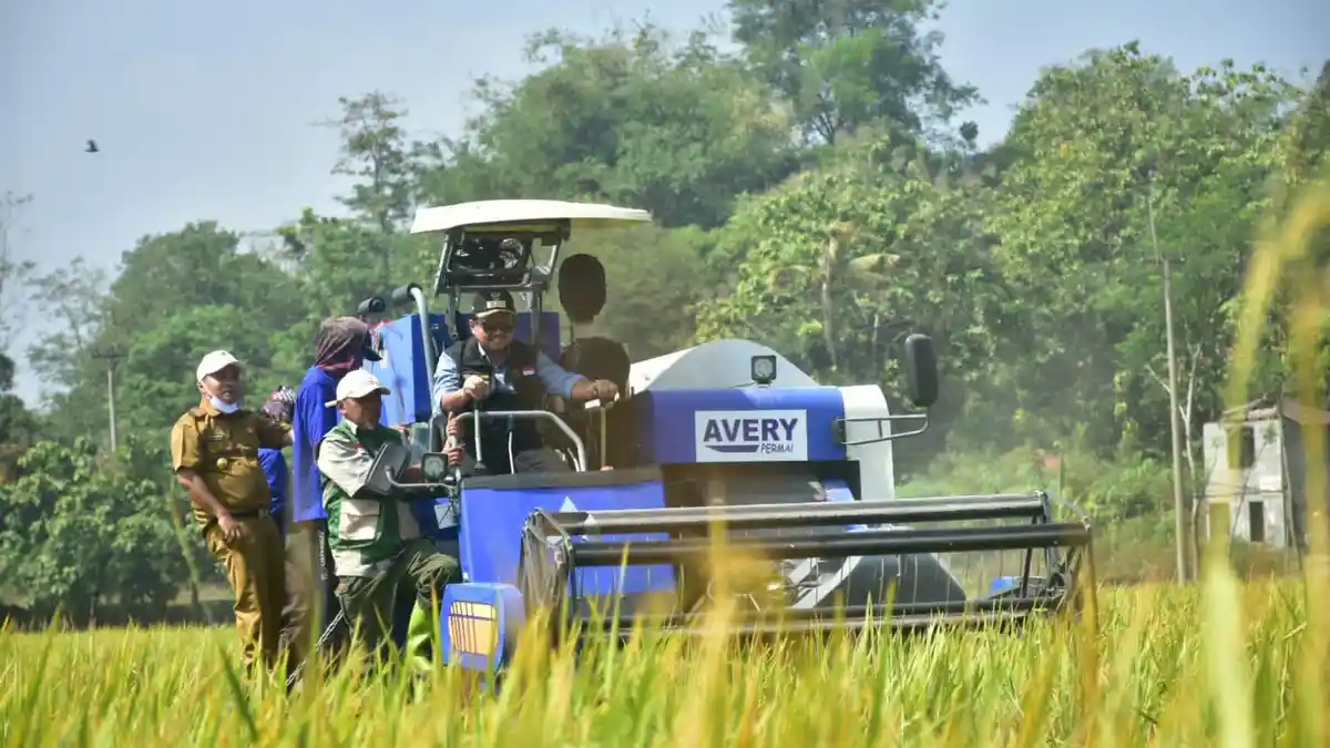 Panen Raya di Tomo Sumedang, Bupati Dony Serahkan Bantuan Alsintan - Tribunjabar.id