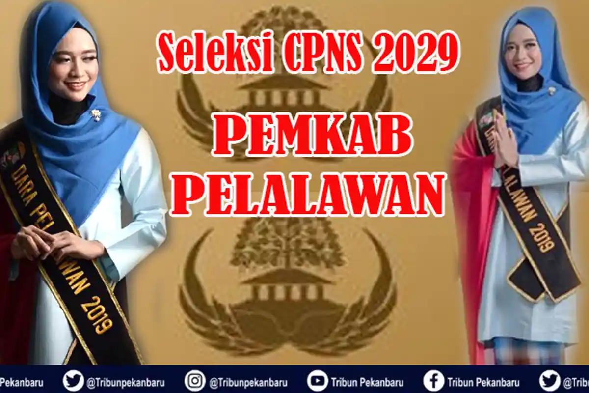 Seleksi CPNS 2019 di Riau, Server BKN Sempat Error, BKP2D Pelalawan Tidak Bisa Akses Jumlah Pelamar