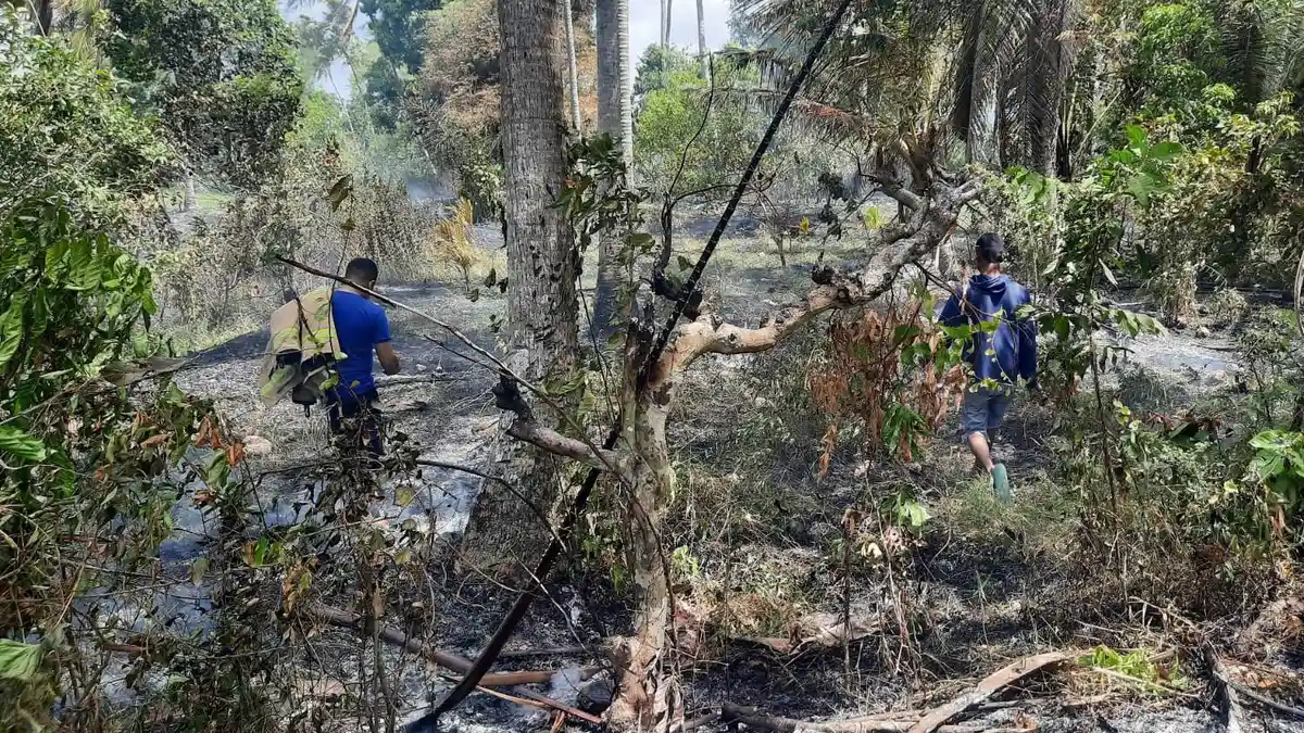 Cuaca Terik, 2,5 Hektare Lahan di Dua Titik di Aceh Besar Terbakar