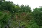 Penampakan Gunung Parang: Jejak Aktivitas Vulkanik Gunung "Prematur" 30 Juta Tahun Lalu di Kebumen