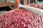 harga-bawang-merah-di-Pesisir-Barat-ikut-melambung.jpg