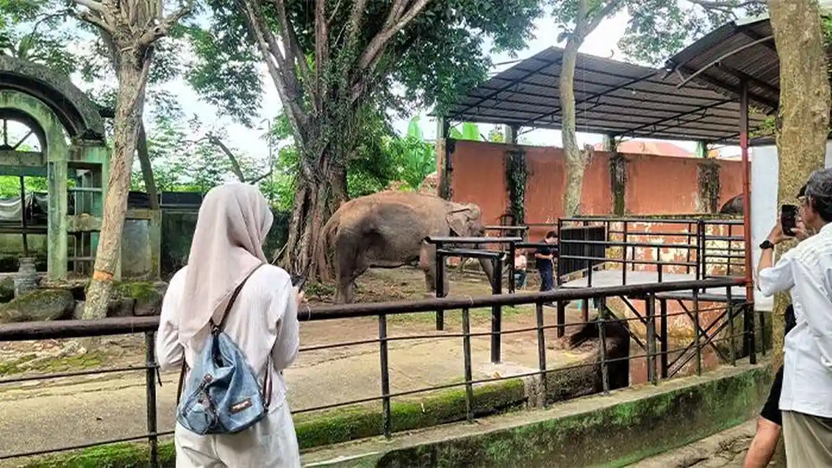 Memasuki Libur Panjang 2026, 1.317 Wisatawan Kunjungi Taman Rimba Jambi