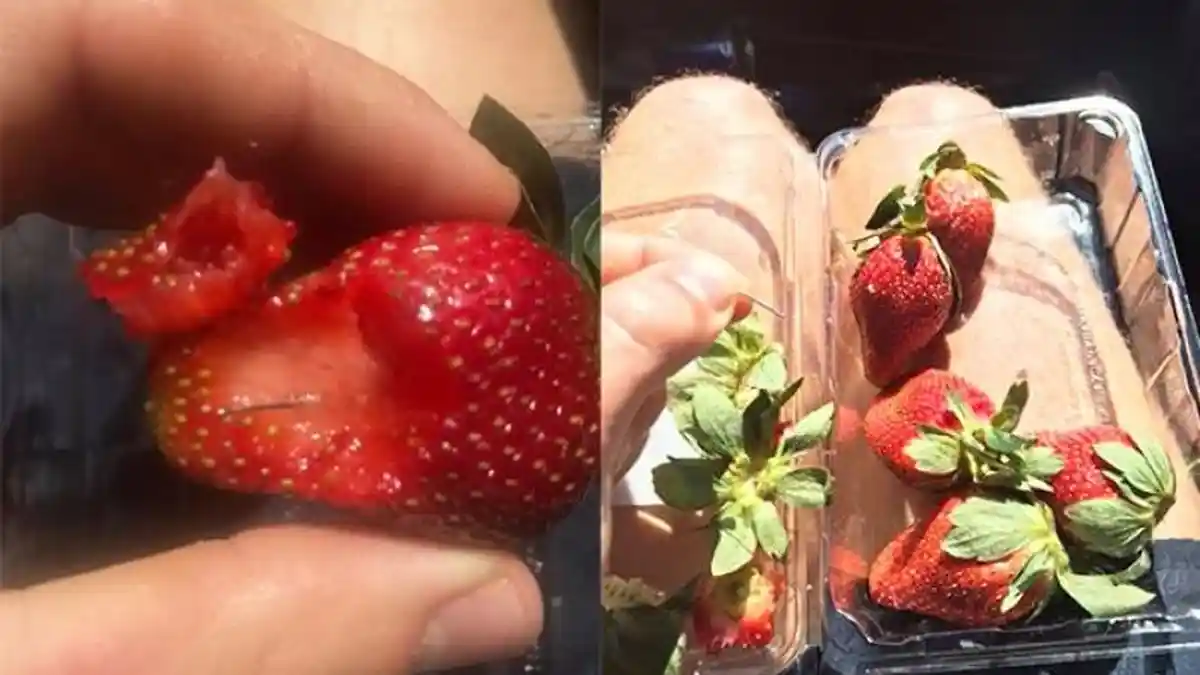 Bikin Heboh di Australia, Polisi Tangkap Bocah Pelaku 'Teror' Jarum. Alasannya Iseng!