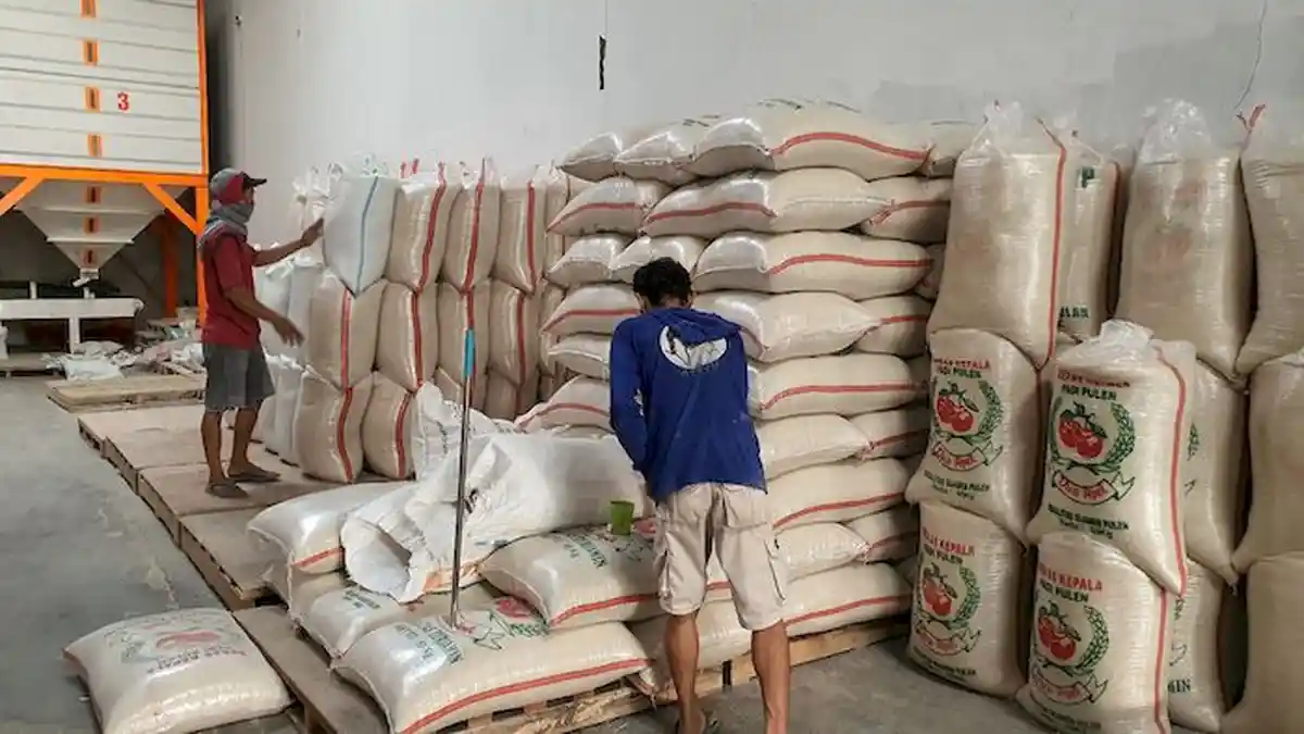 Konsumen yang Beli Beras Langsung ke Penggilingan Meningkat, Demi Mendapatkan Selisih Harga