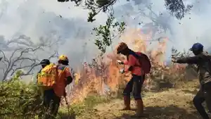 Petugas-BPBD-Kota-Batu-saat-memadamkan-api.jpg