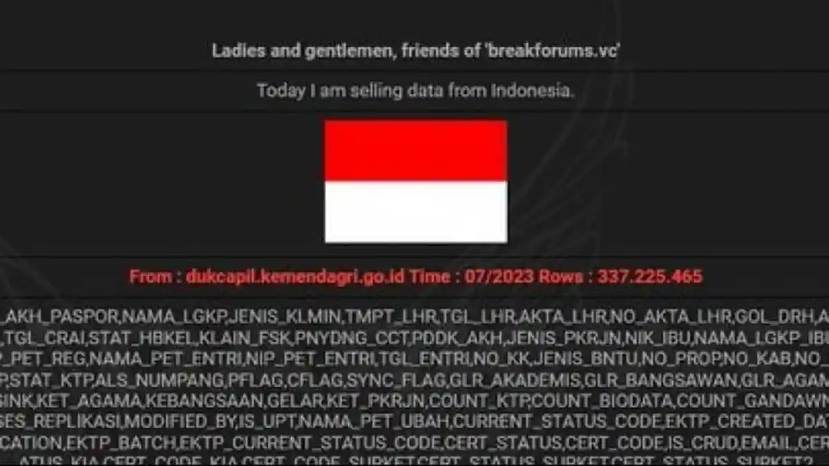 337 Juta Data Dukcapil Kemendagri Diduga Bocor, Kemendagri: Datanya Beda