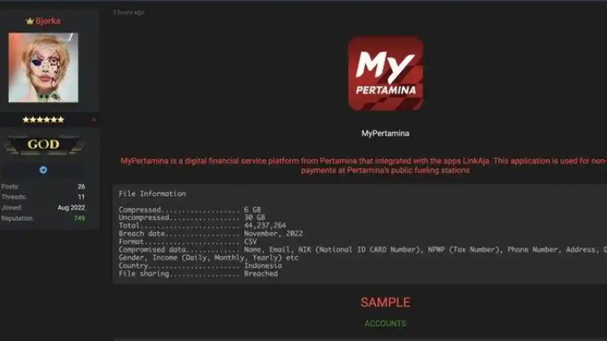 Aksi Hacker Bjorka Makin Meresahkan, 44 Juta Data MyPertamina Berisi Email, NIK, Nomor Telepon Bocor