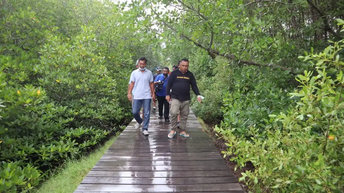 Bisa Menarik Minat Kunjungan Wisatawan, 126 Hektar Lahan akan Dijadikan Hutan Mangrove