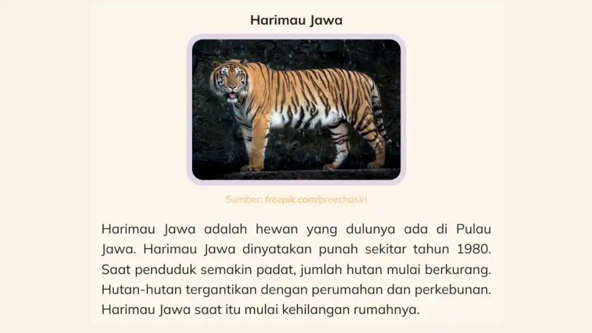 Kunci Jawaban IPAS Kelas 3 Halaman 30 Kurikulum Merdeka, Harimau Jawa