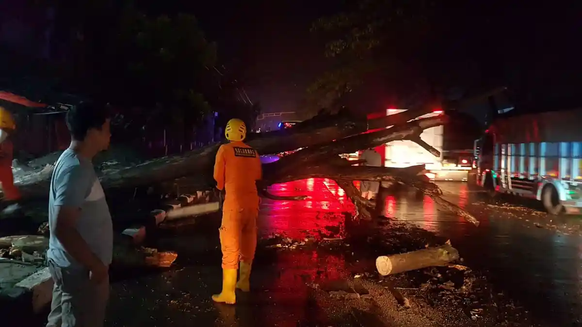 Macet, Hindari Jalan Bandung-Garut Malam Ini, Ada Pohon Tumbang Timpa Bus