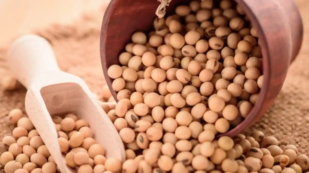 Harga Kedelai Kembali Melambung Tinggi, Begini Reaksi Produsen Tempe Tahu