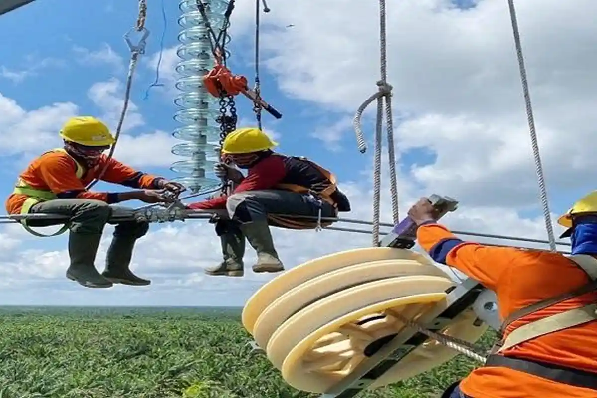 PLN Bangun SUTT Pangkalan Bun-Sukamara Hubungkan Kalbar-Kalteng, Progres Capai 80 Persen