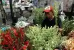 Penjual Bunga Lebaran di Pasar Pagi Rawamangun