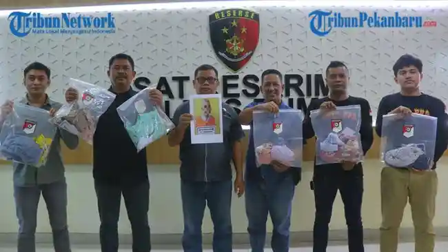Tribun