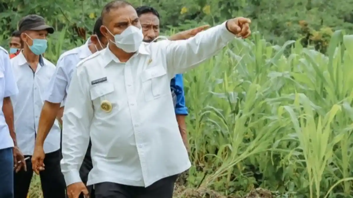 Selamatkan Tanaman Rakyat, Bupati Flores Timur Bantu Alsintan Kelompok Tani, Ini Misinya