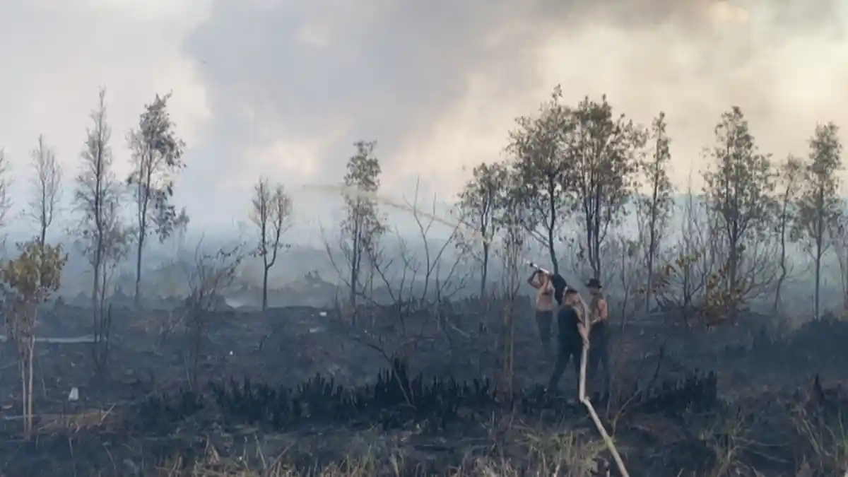 Palangkaraya Diguyur Hujan 2 Hari Titik Api Nihil, Waspada 3 Hari ke Depan Panas Berpotensi Karhutla