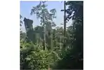 20042026-hutan32333.jpg