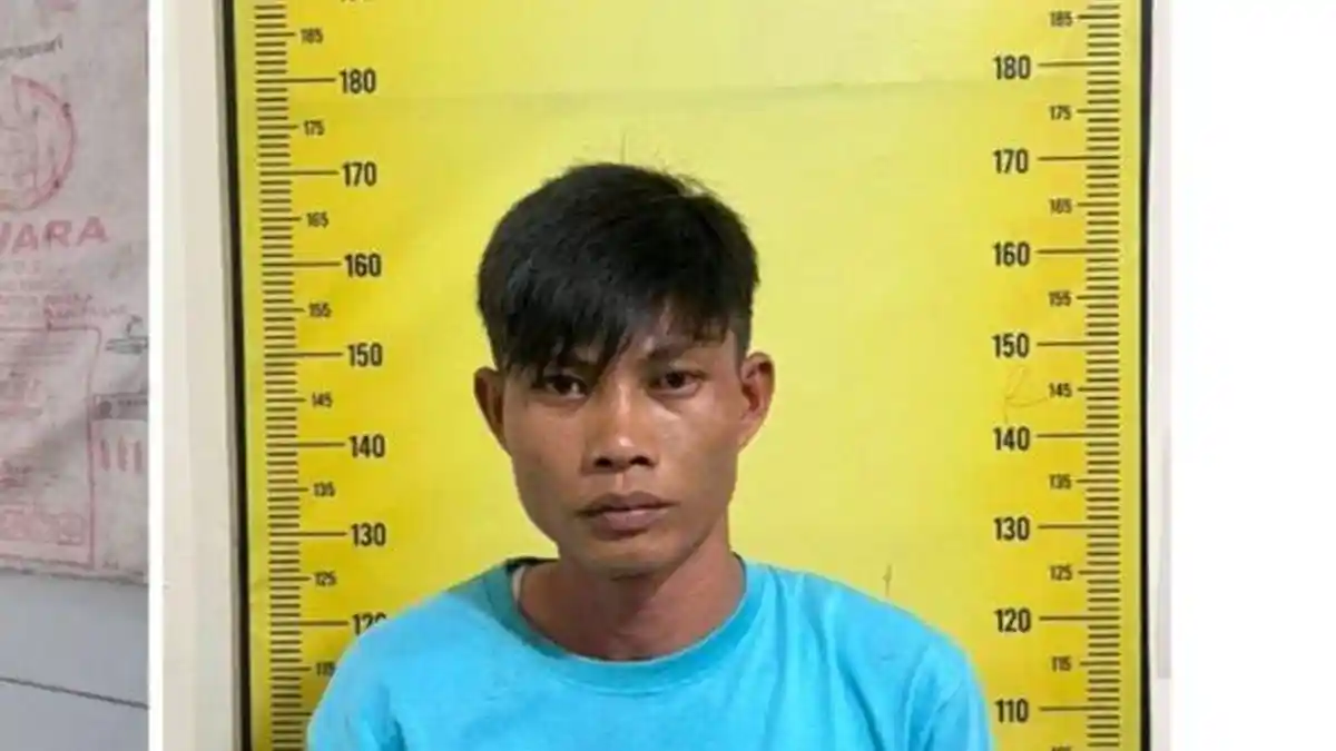 Kepergok Curi Kayu Manis, Pria di Pagar Alam Malah Serang Pemilik Kebun Hingga Alami Luka