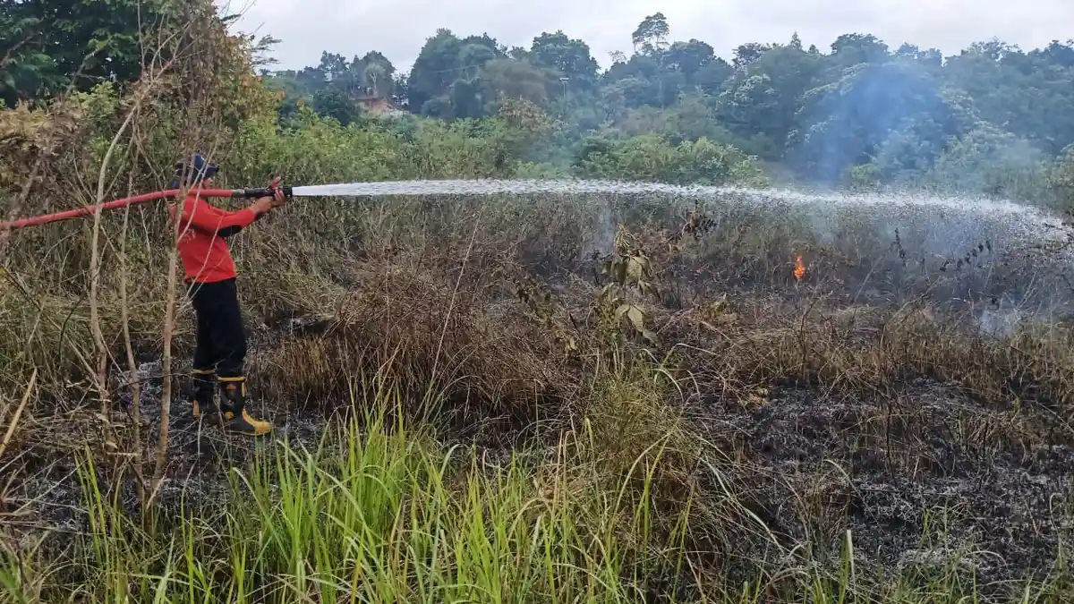 Dua Hektare Lahan di Lembah Seulawah Aceh Besar Kembali Terbakar