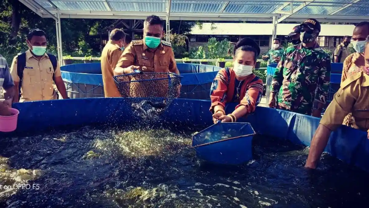 Bupati Sikka Panen Ikan Bantuan Kementerian Kelautan dan Perikanan  