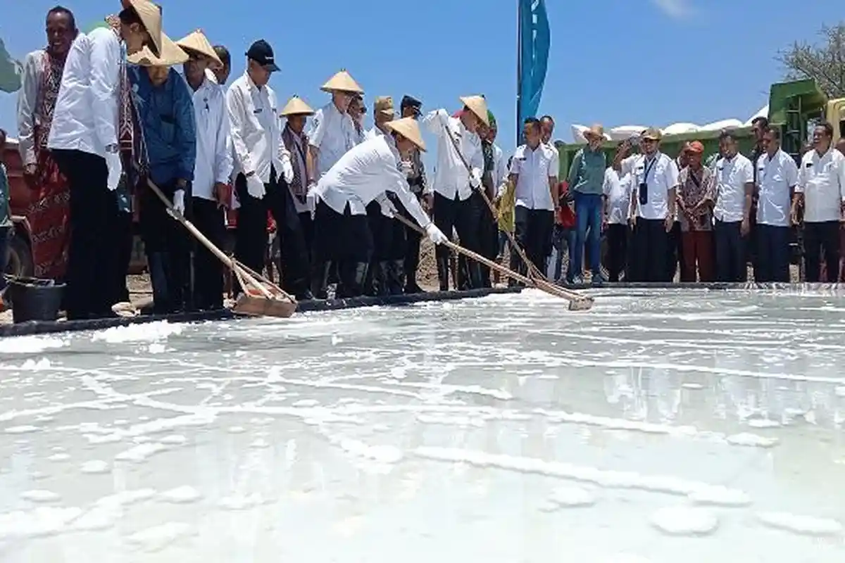 Bupati TTU dan Direktur Perencanaan dan Perwujudan Kawasan Transmigrasi RI Panen Garam Premium 