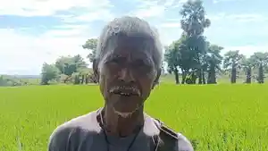 Petani-Kambera-Sumba-Timur.jpg