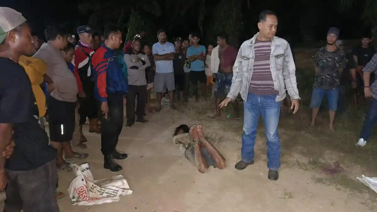 Sering Bertengkar, Suami Tega Bunuh Istrinya dengan Sadis di Paser 