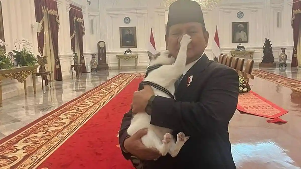 Trending, Kucing Presiden Prabowo, Bobby Kertanegara Masuk Sosok yang Paling Dicari di Google 2024