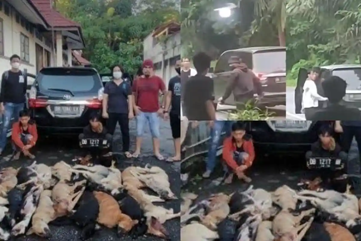 Akhirnya Terungkap Trik Para Doger Anjing di Sulawesi Utara untuk Berburu Mangsa, Pakai Orang Dalam
