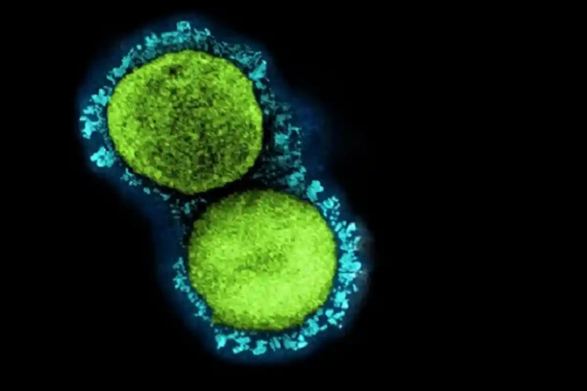 Ini Enam Gejala Deltacron, Varian Baru Gabungan Virus Omicron dan Delta, Ini Penjelasan WHO