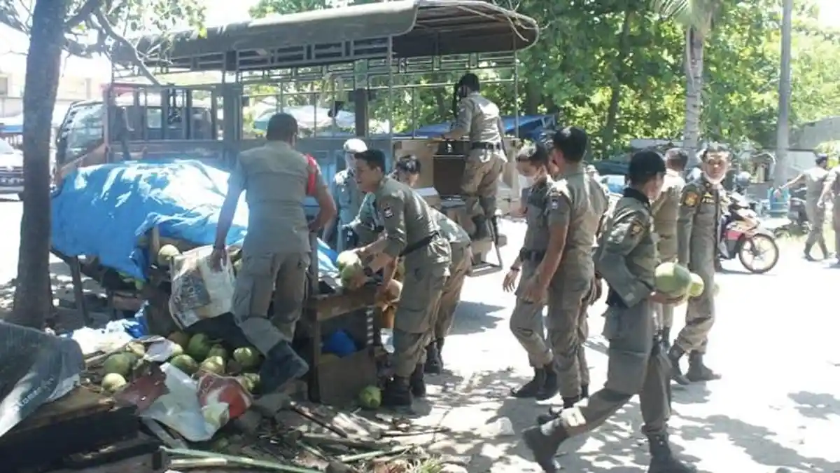 Satpol PP Bongkar Lapak PKL yang Mengganggu Pemandangan Pantai Padang ...