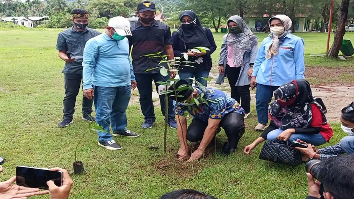 Peta Pikiran Hari Menanam Pohon, Jawaban Tema 2 Kelas 5 Halaman 24