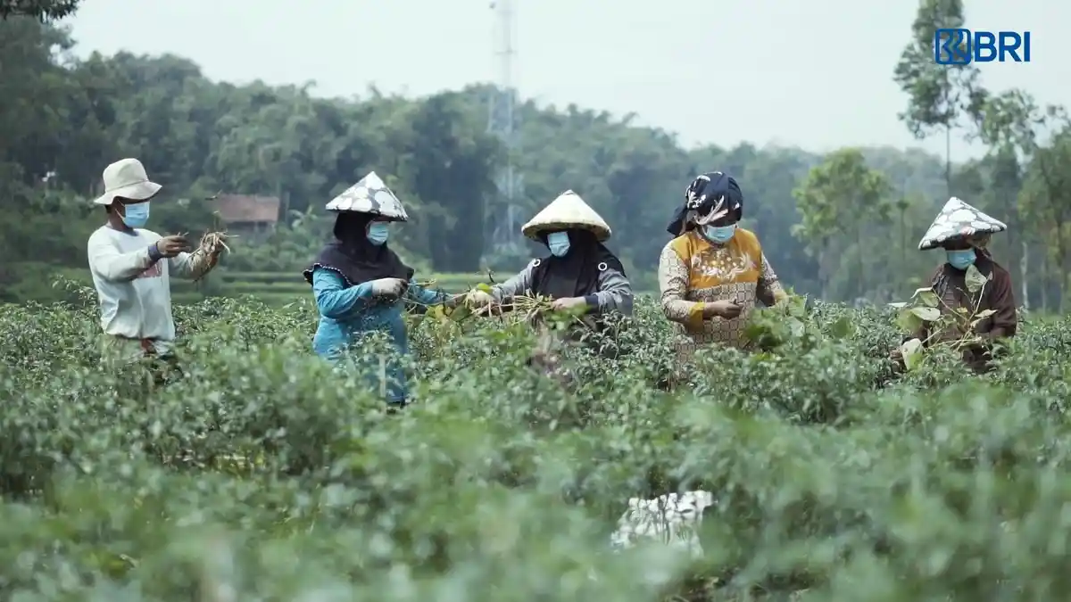 50 Video Terbaik #MudaMembangunDesaDigital Periode II Diumumkan, Cek Namamu di Sini!