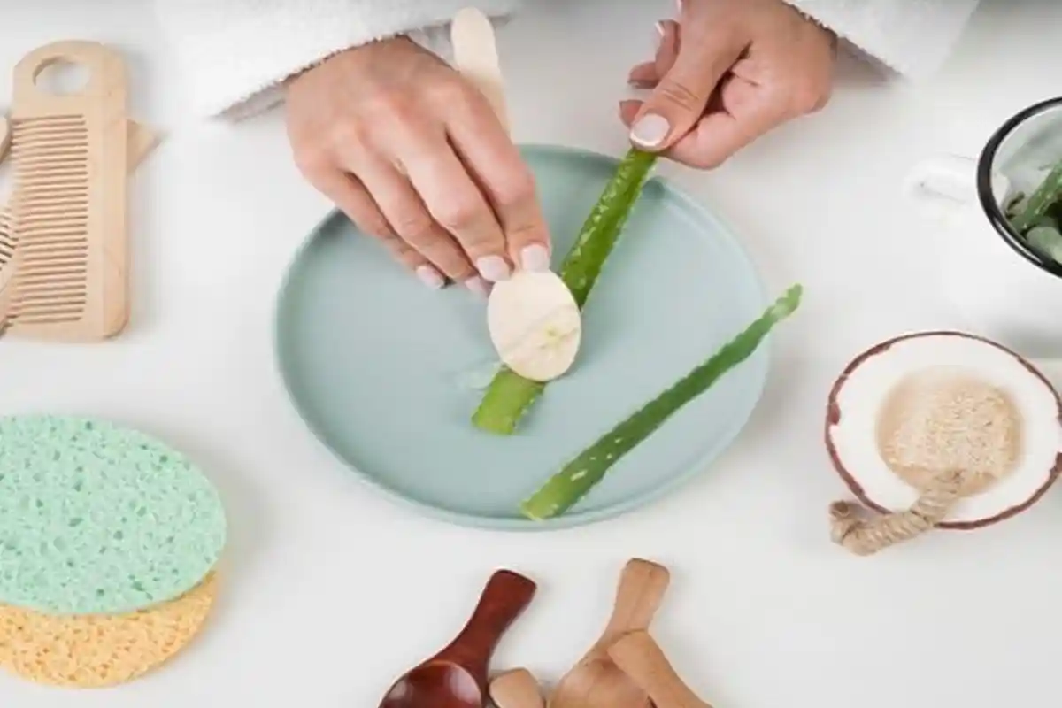 dr Zaidul Akbar Beberkan Manfaat Tak Terduga Lidah Buaya, Ampuh Obati Maag & Hilangkan Stretch Mark