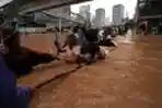 Warga Berusaha Terobos banjir