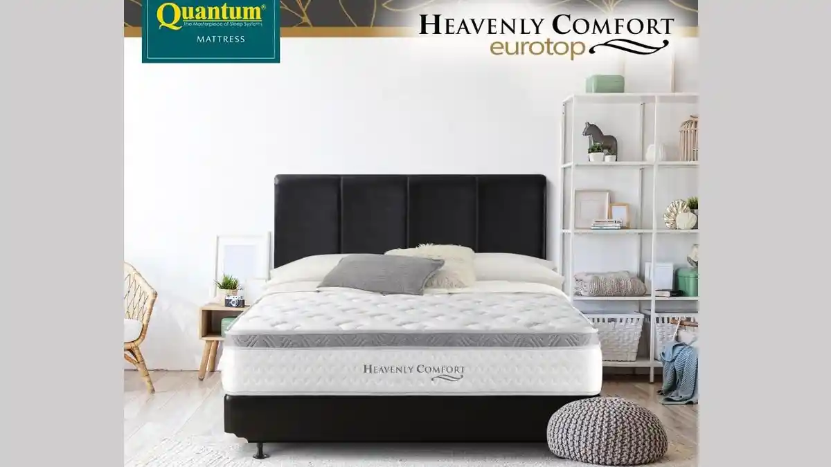 Rekomendasi Quantum Springbed Untuk Meningkatkan Kenyamanan Kasur ...