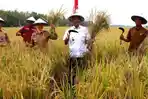 ​Tradisi Wiwitan Bojonegoro, Ritual Gong Gaib di Blok Cepu hingga Syukuran Panen Raya yang Melimpah