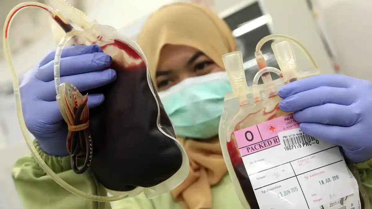 8 Hal ini Wajib Diketahui Orang Bergolongan Darah O, Ada Hubungannya dengan Jodoh yang Cocok