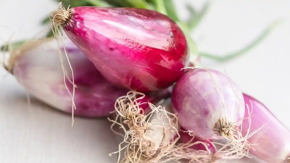 Arti Mimpi Bawang Merah dan Bawang Putih, Waspada Akan Mengalami Kecelakaan Dalam Waktu Dekat