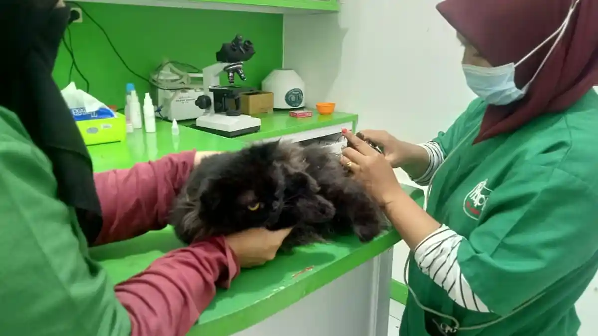 Bagi Pecinta Hewan, Datang ke Happy Pet Clinic Kota Jambi Bisa Gratis Konsultasi Kesehatan Hewan