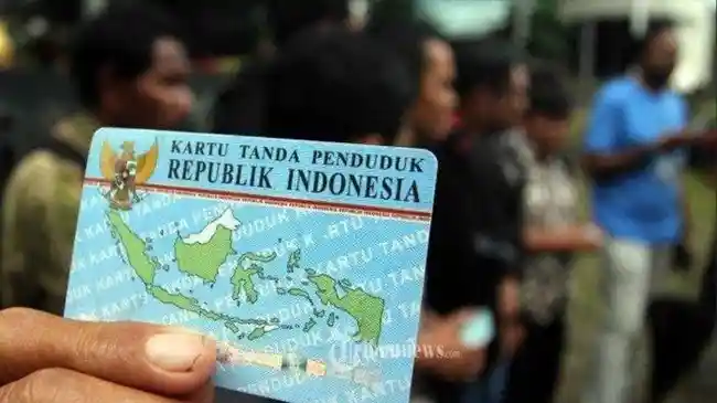 Tribun